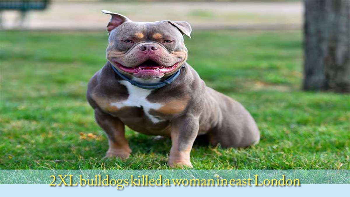 bulldogs-killed-a-woman