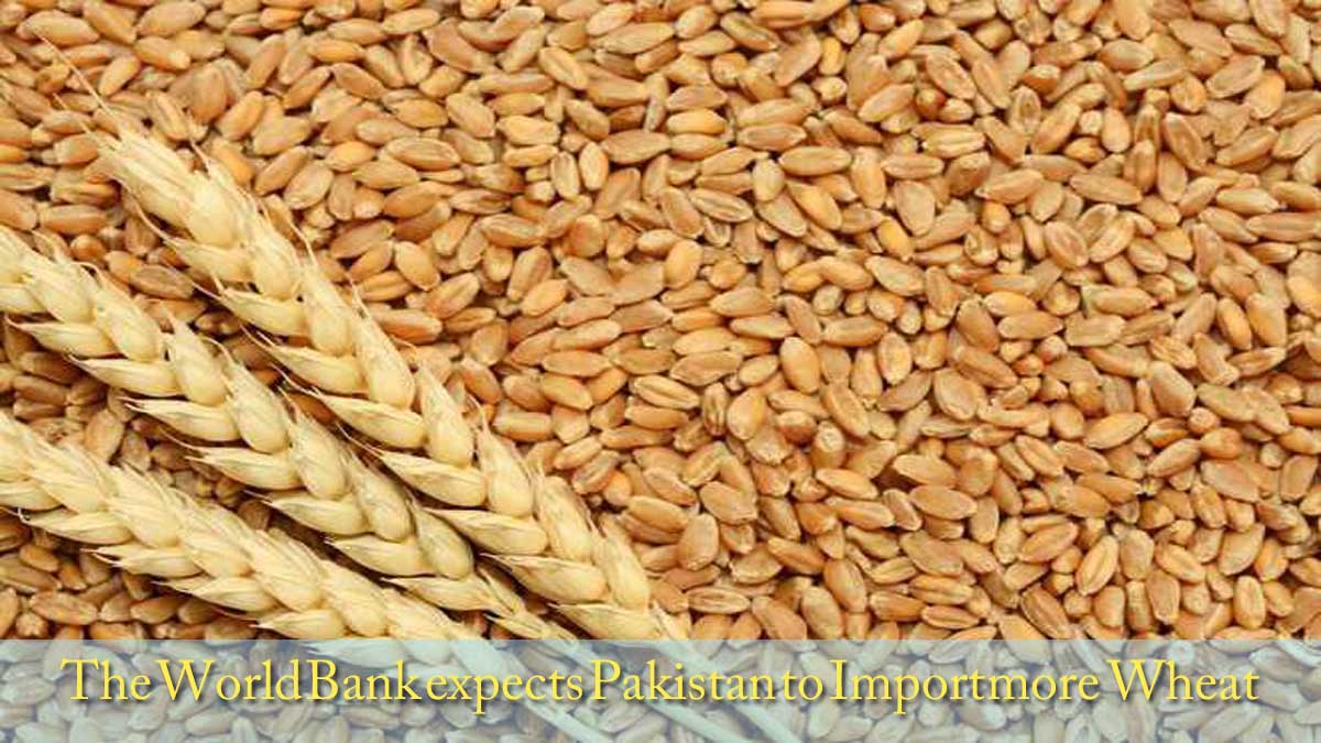 import-wheat
