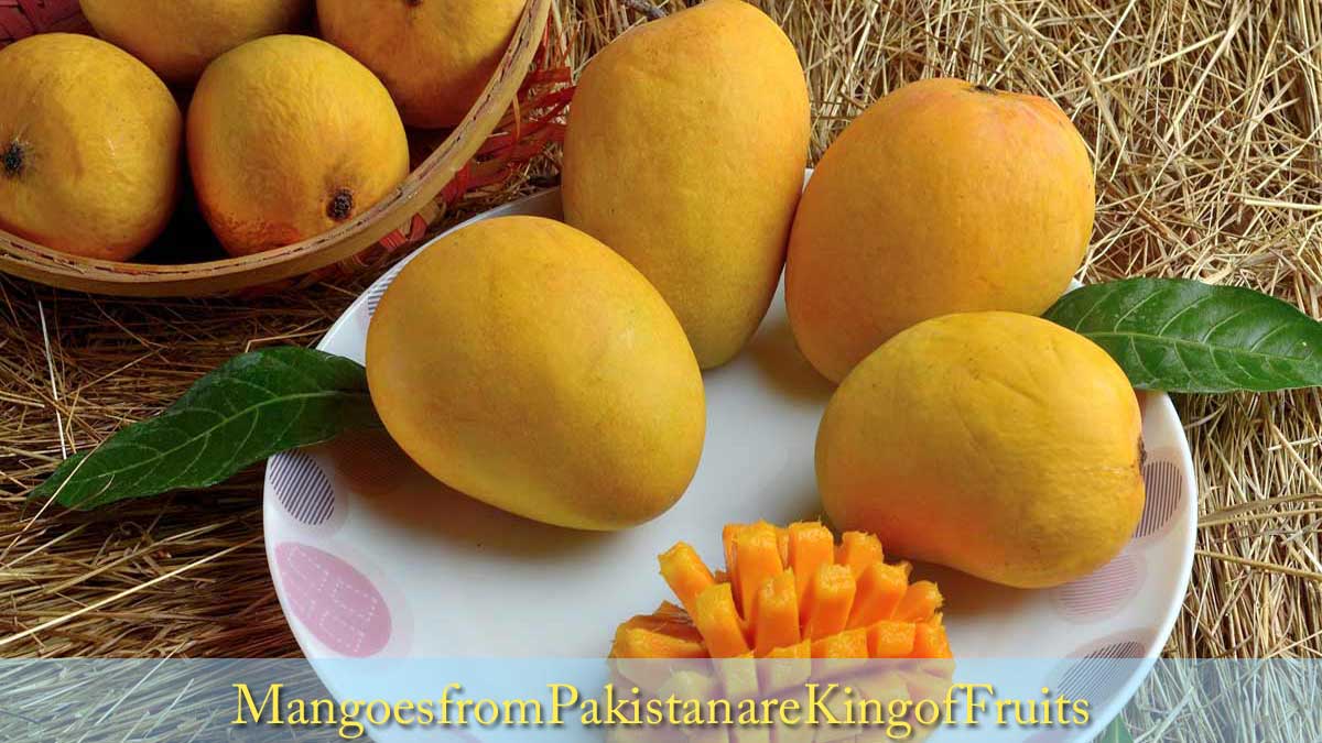 Mangoes from Pakistan