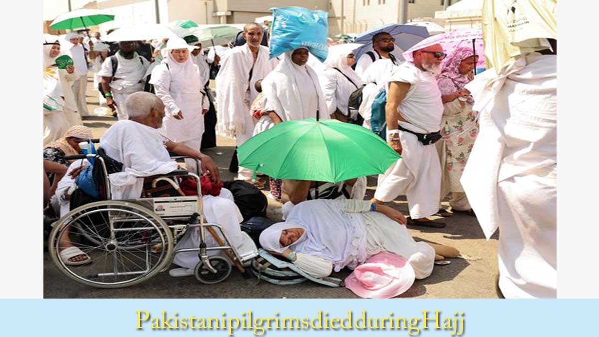 Pakistani pilgrims died during Hajj